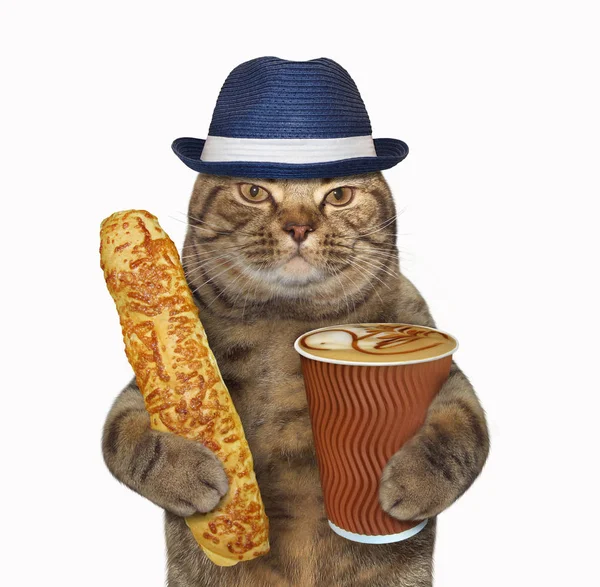 Kot posiada sera drożdżówka i kawa — Zdjęcie stockowe