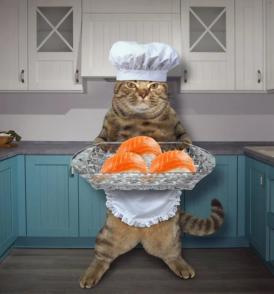 Gato com sushi definido na cozinha 2 — Fotografia de Stock