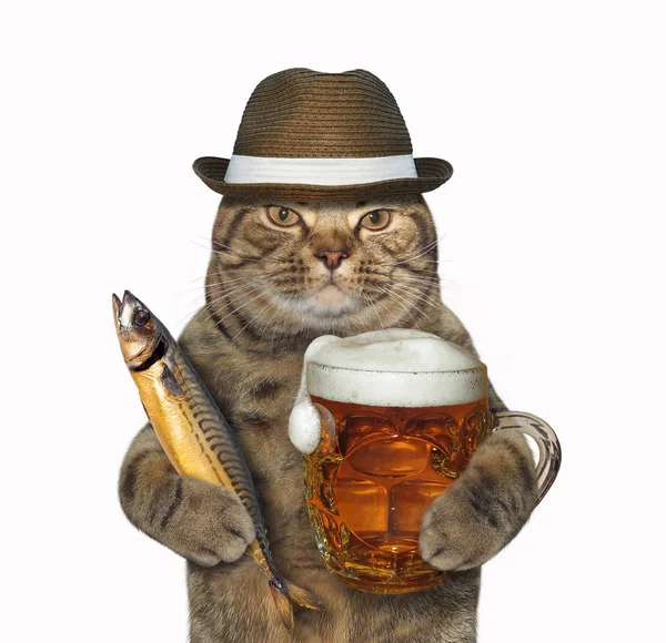 Gato com copo de cerveja e peixe — Fotografia de Stock