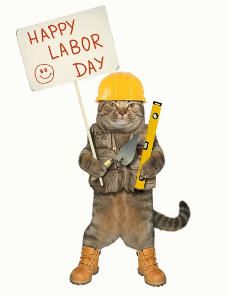 Ayakkabı mala ile kedi