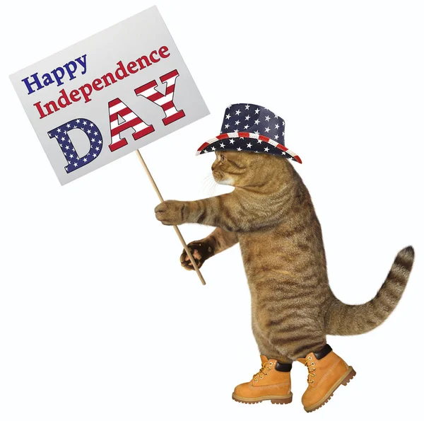 Cat patriot with banner — Stock Photo, Image