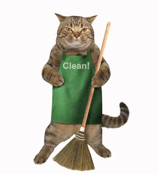 Önlük süpürge ile kedi
