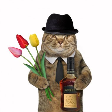 Kedi beyefendi viski ve Lale ile 