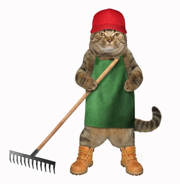 Кот в фартуке с садовыми граблями — стоковое фото