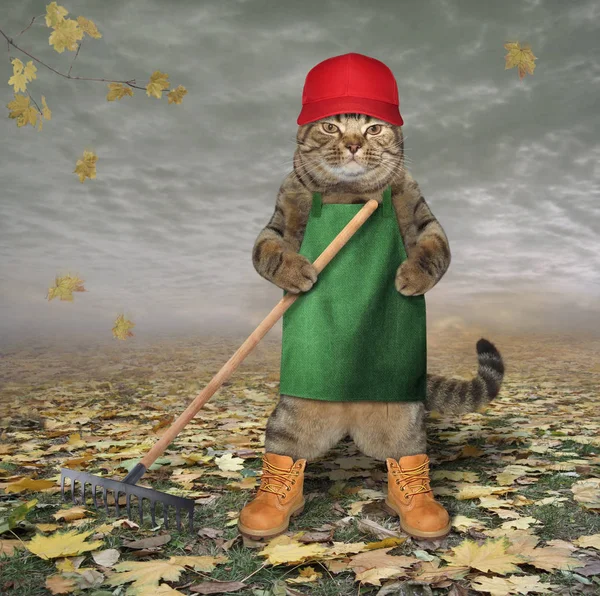 Önlük Bahçesi komisyon 2 ile kedi