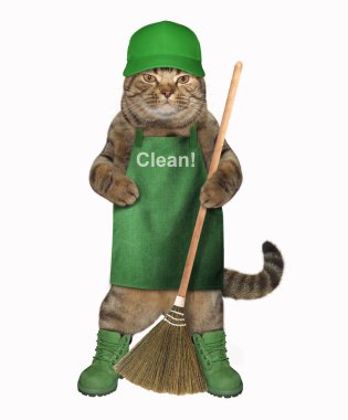Önlük ve şapka süpürge ile kedi