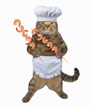 Kedi karides şiş şifreli tutar.