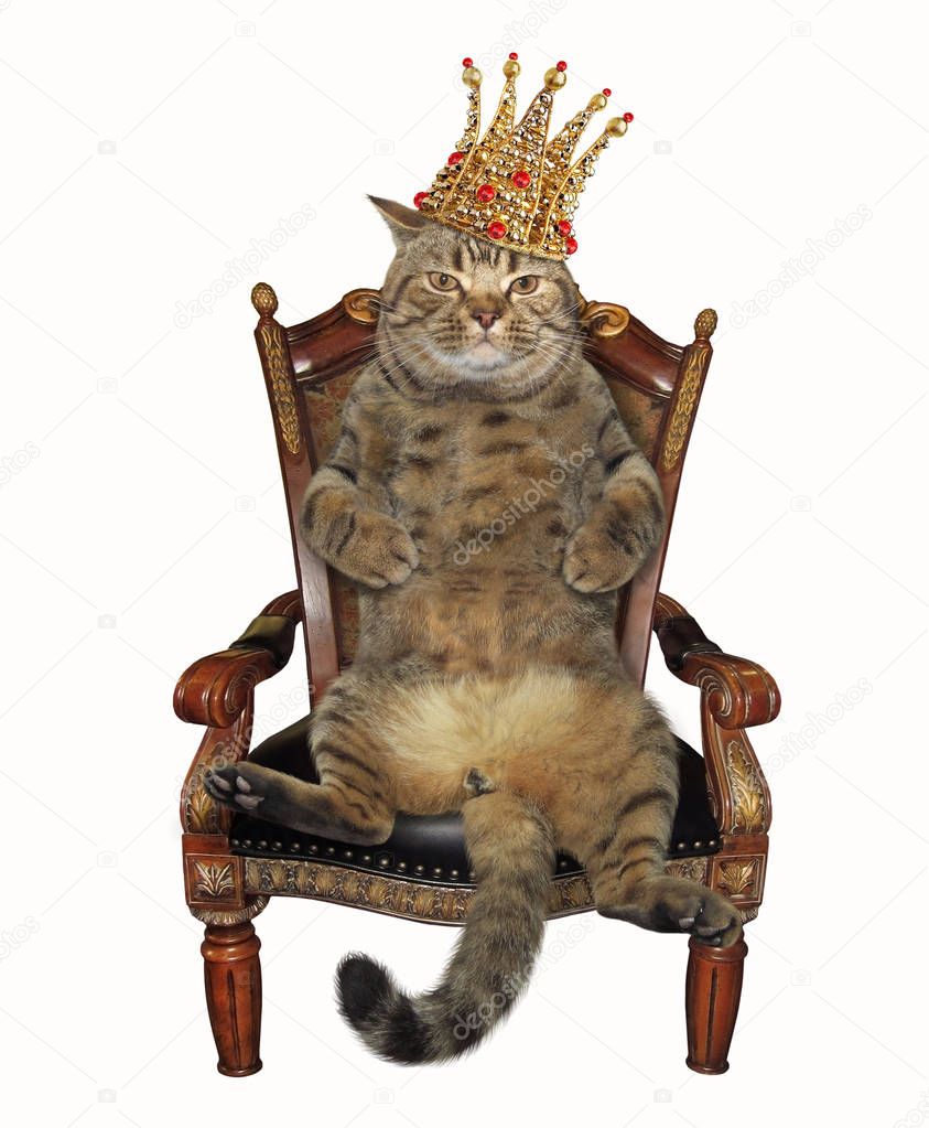 The cat in the crown sits on the antique armchair. White background.