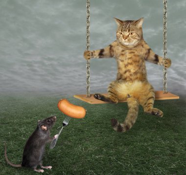 Fare salıncakta kedi besliyor.