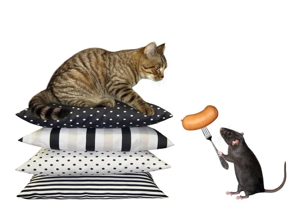 Кошка и крыса с колбасой — стоковое фото