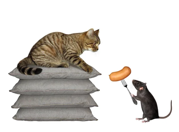 Kat en rat met worst 2 — Stockfoto