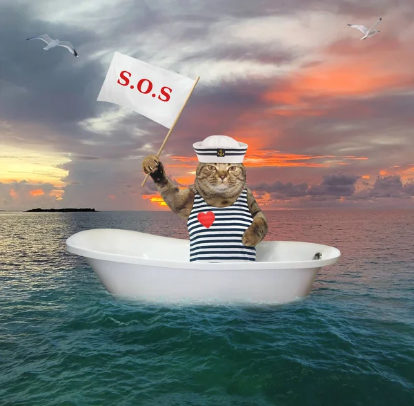 Gato a la deriva en el mar en bañera — Foto de Stock