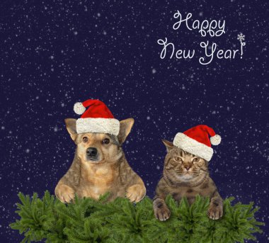 Noel ağacının arkasındaki kedi ve köpek