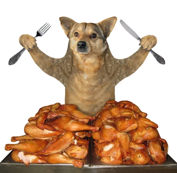 Chicken legs 2025 for dogs
