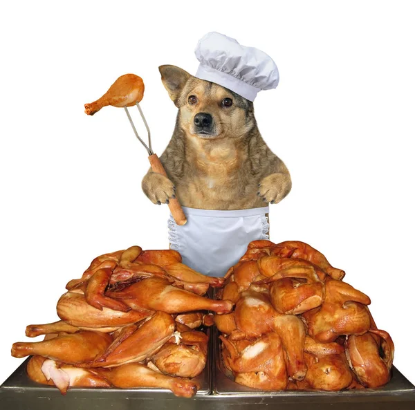 Dog cooks grilled chicken legs — Stock Photo, Image