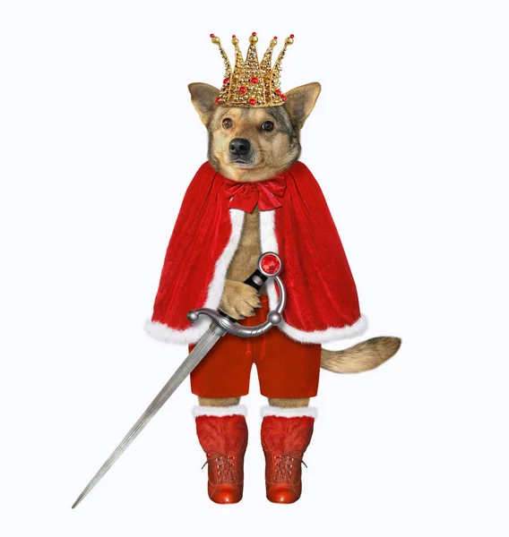 Dog king in red cloak — Stock Photo, Image