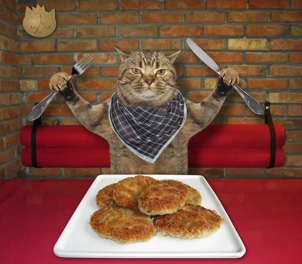Le chat mange des escalopes frites au restaurant — Photo