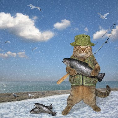 Cat fisher on winter fishing clipart