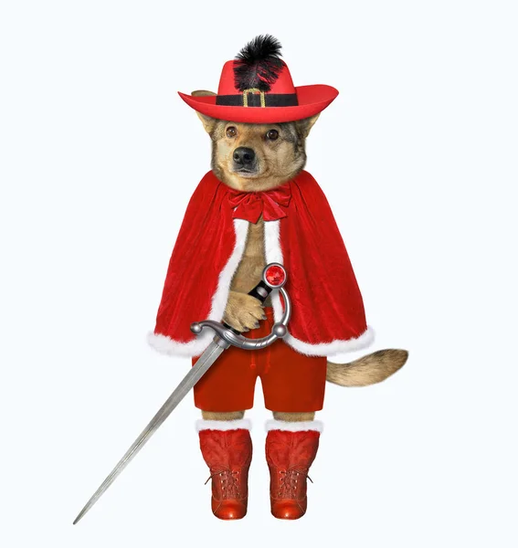 Kılıçlı kırmızı pelerinli köpek. — Stok fotoğraf