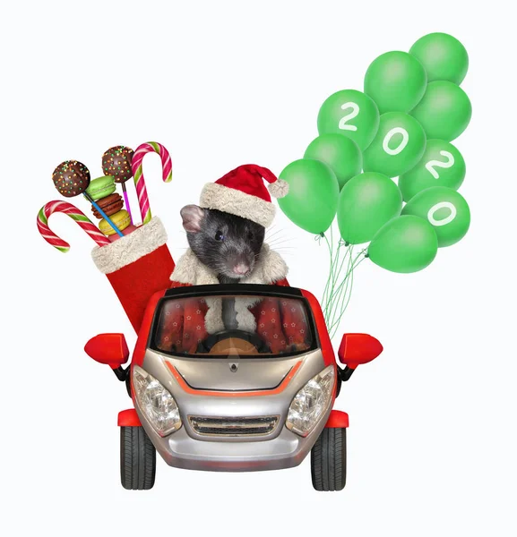 Rato no carro com presentes de Natal 2 — Fotografia de Stock