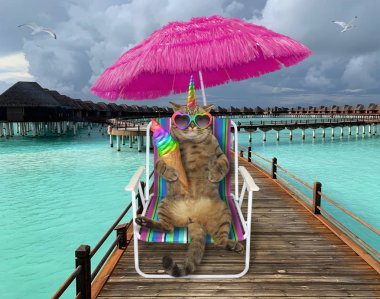 Caticorn ahşap iskelede dondurma yiyor.