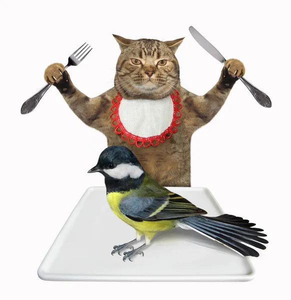 Cat is going to eat tit — Stock Photo, Image