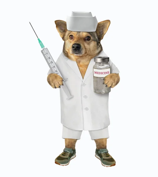Veterinární pes s injekční stříkačkou a lékem — Stock fotografie