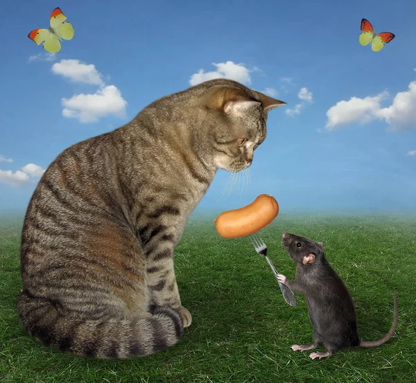 Fare bir kediyi sosis 2 ile besler.