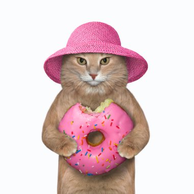 Kedi ısırılmış pembe çörek tutar.