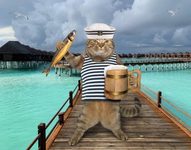 İskelede birası olan kedi denizci.