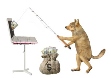 Dog catches dollars from computer clipart