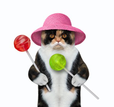 Pembe şapkalı kedi lolipop yiyor.