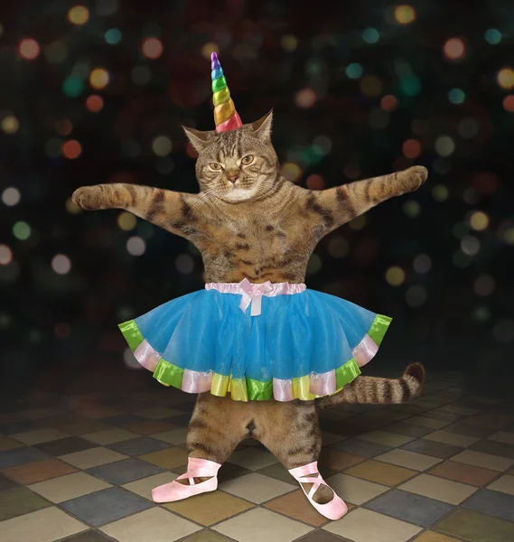 Cat Unicorn bale dansçısı 2. — Stok fotoğraf