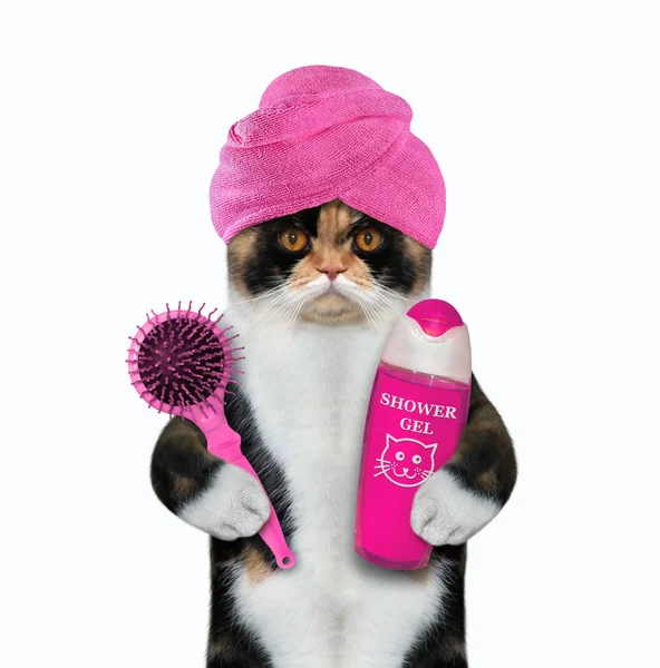 Gato com escova de cabelo e shampoo — Fotografia de Stock