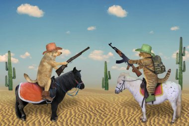 Köpek ve kedi çölde ata biniyor.