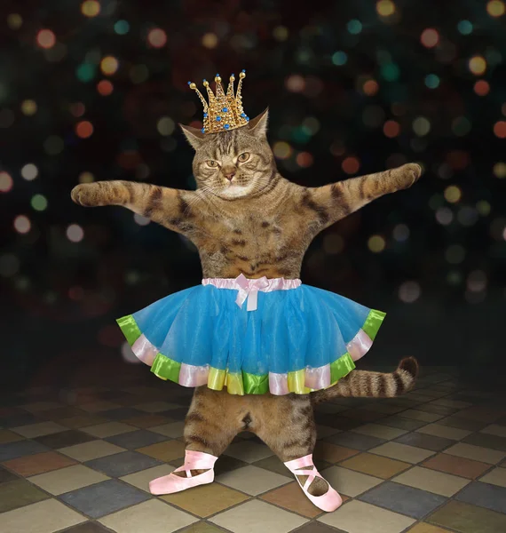 Gato en corona es bailarina de ballet —  Fotos de Stock