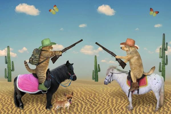 Hond en kat rijden paarden in de woestijn — Stockfoto
