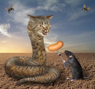 Fare, kedi yılan 2 'yi besliyor.