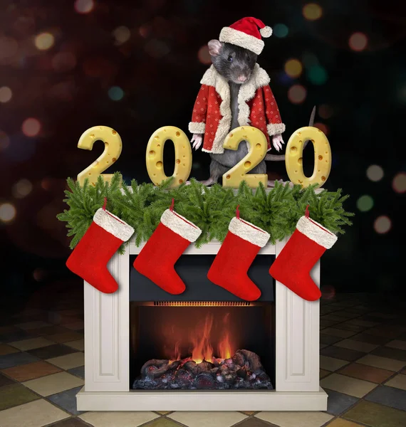 Rata puestos en la chimenea de Navidad — Foto de Stock