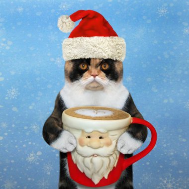Kedi bayram kahvesi içer.
