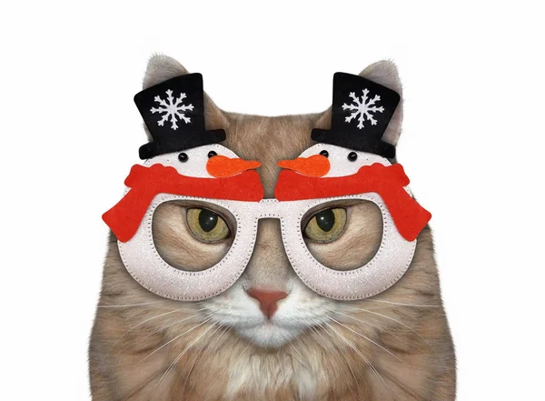 Γάτα με κόκκινα χριστουγεννιάτικα γυαλιά 2 — Φωτογραφία Αρχείου