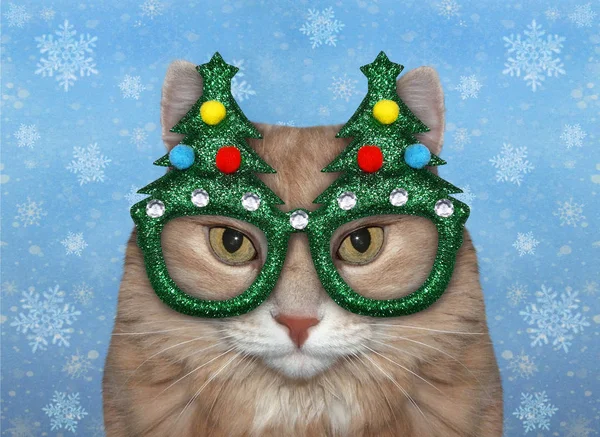 Katze in grünen Weihnachtsgläsern 2 — Stockfoto