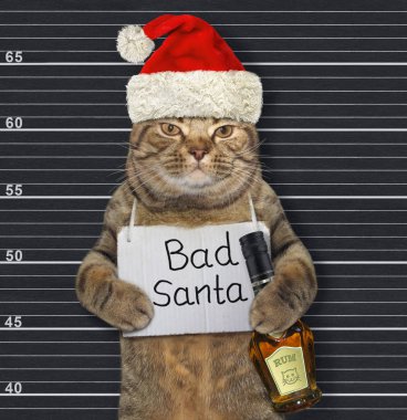 Kedi kötü Noel Baba ve şarap 2 numaralı hapishane.