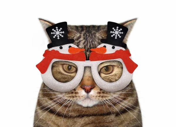 Γάτα με κόκκινα χριστουγεννιάτικα γυαλιά — Φωτογραφία Αρχείου