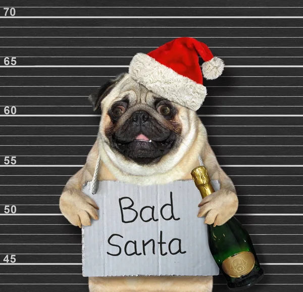 Dog bad Santa in prison 2