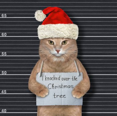 Kedi Noel Baba Noel ağacını devirdi.