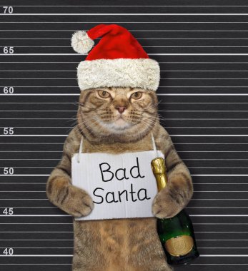 Kedi kötü Noel Baba ve şarap 2 numaralı hapishane.