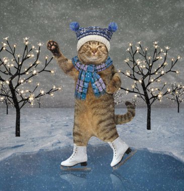 2. Noel 'de gölette kedi pateni