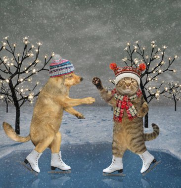 Noel 'de kedi ve köpek gölette kayar.