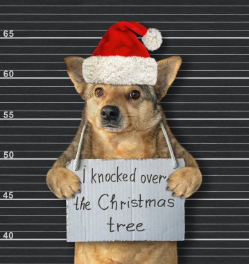 Köpek Santa Noel ağacı devirdi